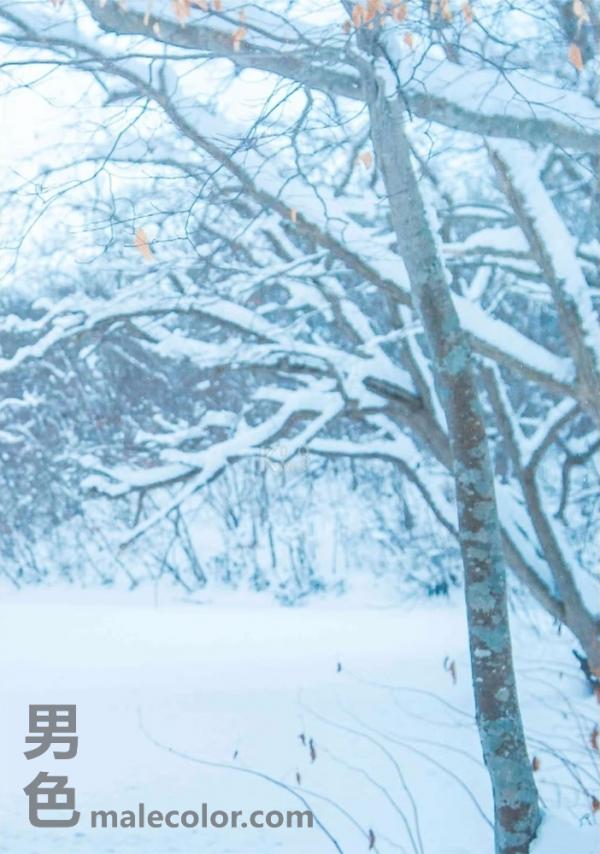 Whoseman-10-犬系男孩-安東尼-北海道特別企劃